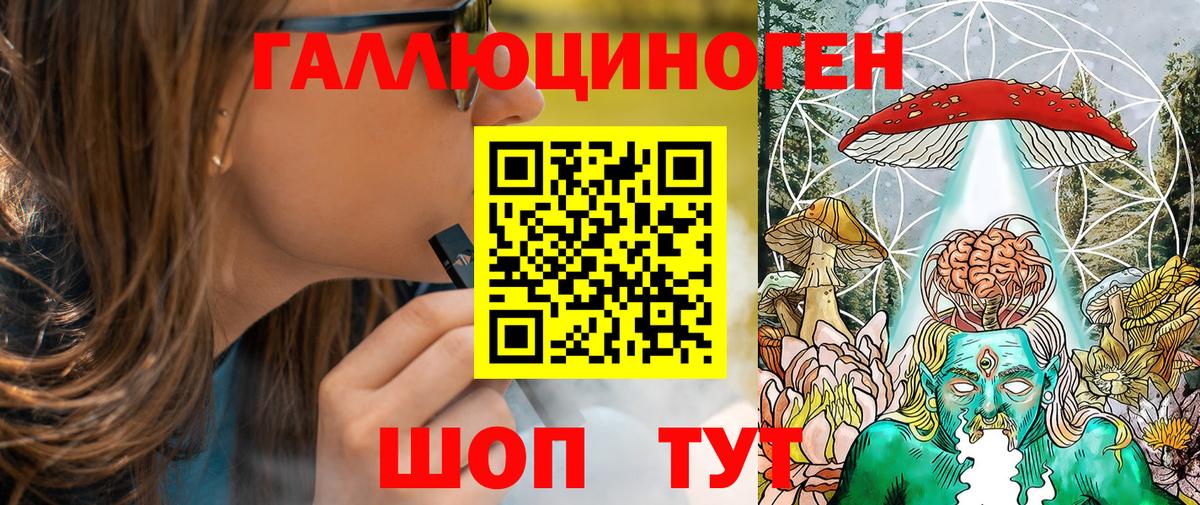 Меф Киселёвск